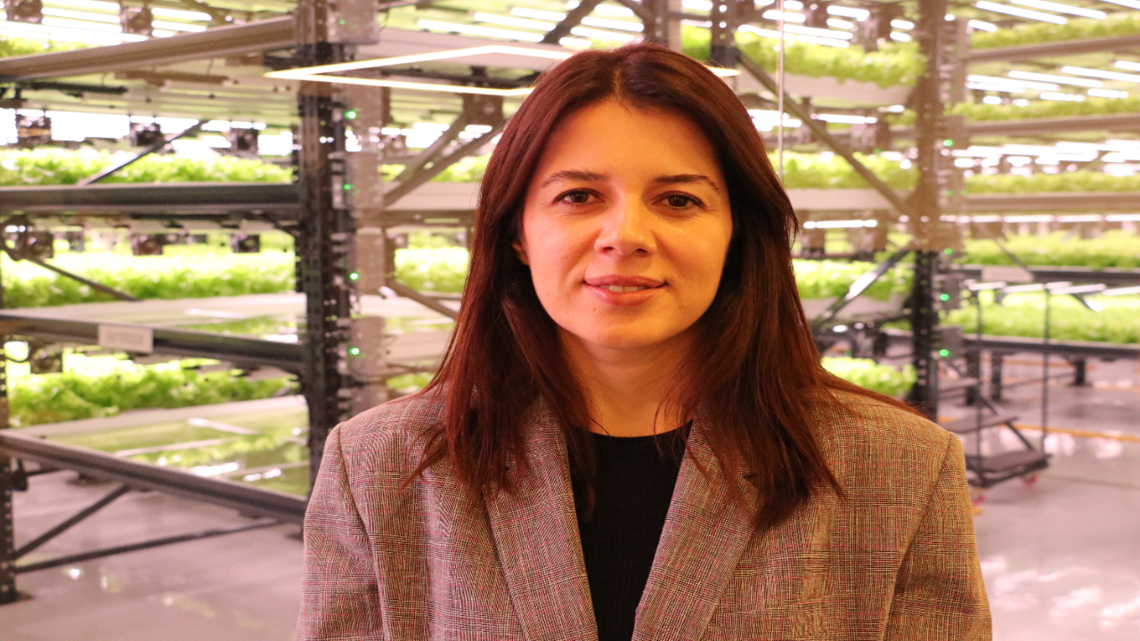 Foto - Tekstil fabrikasında topraksız marul yetiştiriyor! "Kullandığımız teknoloji tamamen yerli"