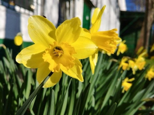 Foto - Telefon alacaklar dikkat! En iyi kameraya sahip telefon belli oldu!