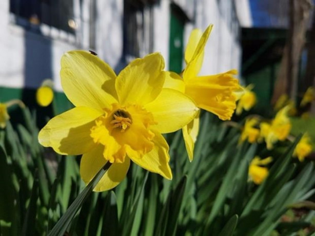 Foto - Telefon alacaklar dikkat! En iyi kameraya sahip telefon belli oldu!