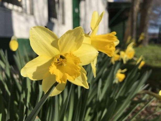 Foto - Telefon alacaklar dikkat! En iyi kameraya sahip telefon belli oldu!