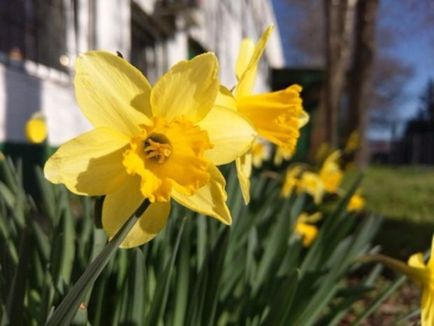 Foto - Telefon alacaklar dikkat! En iyi kameraya sahip telefon belli oldu!