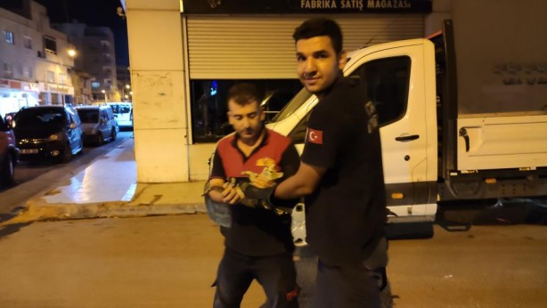 Foto - Telefonlar iş başında! Böyle kedi kurtarma operasyonu gördünüz mü?