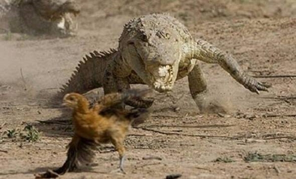 Foto - Telefonu gece şarjda bırakmak piline zarar verir mi? 