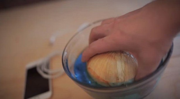 Foto - Telefonunu soğanla şarj etti! Bakın nasıl...