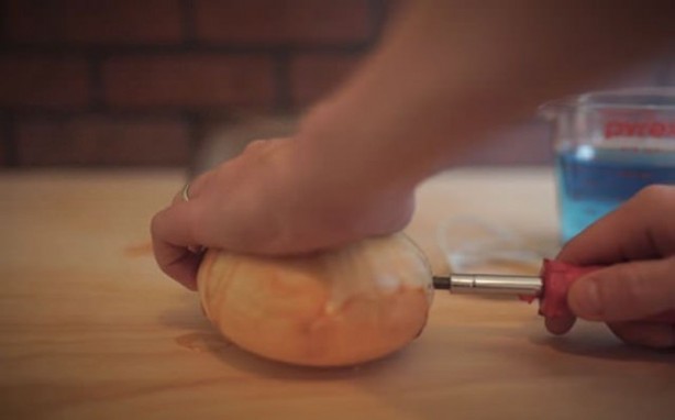 Foto - Telefonunu soğanla şarj etti! Bakın nasıl...