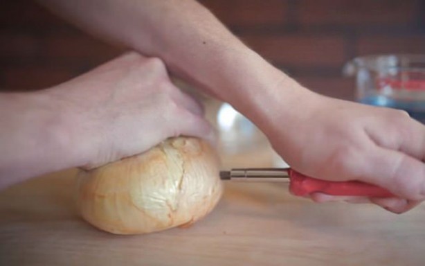 Foto - Telefonunu soğanla şarj etti! Bakın nasıl...