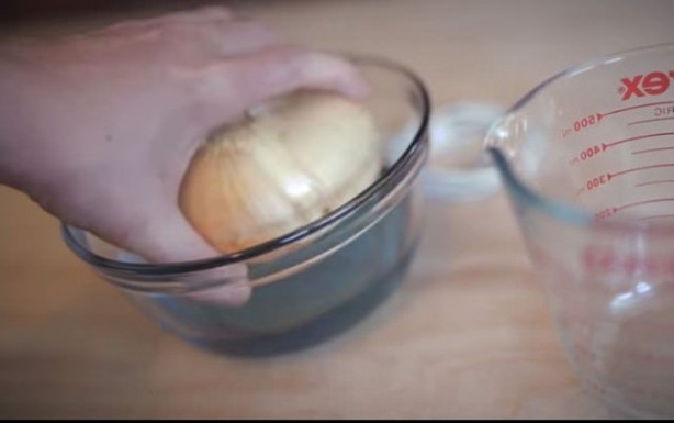 Foto - Telefonunu soğanla şarj etti! Bakın nasıl...