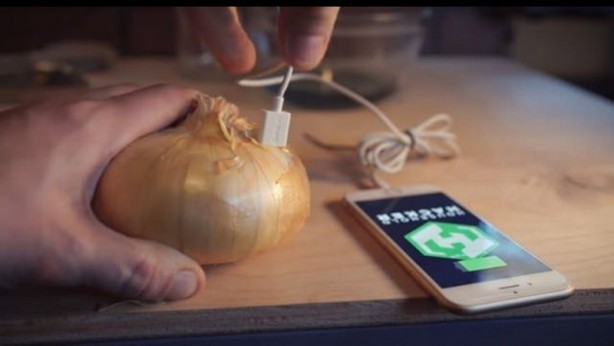 Foto - Telefonunu soğanla şarj etti! Bakın nasıl...