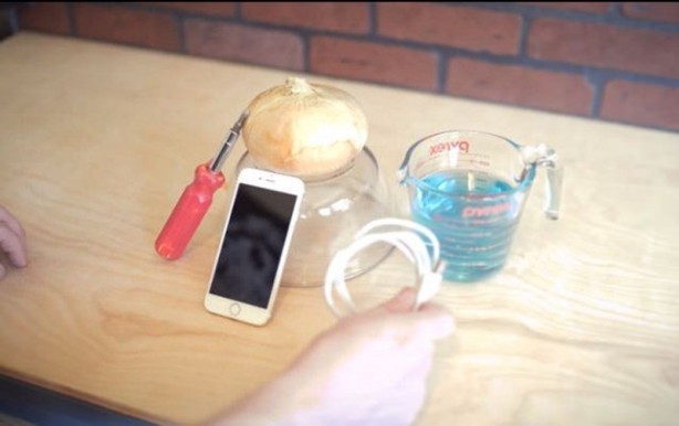 Telefonunu soğanla şarj etti! Bakın nasıl...