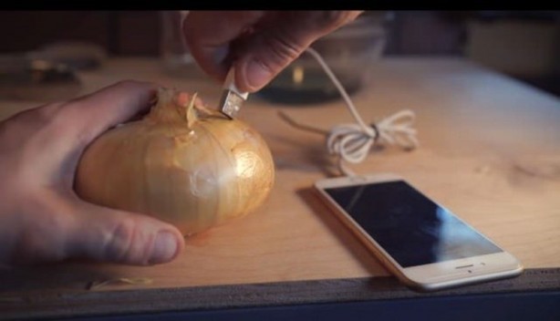 Foto - Telefonunu soğanla şarj etti! Bakın nasıl...