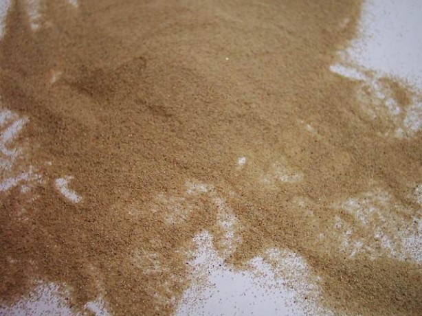 Foto - Telefonunuz suya mı düştü, sinekler rahatsız mı ediyor? Bu haber sizin için!