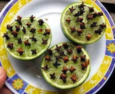 Telefonunuz suya mı düştü, sinekler rahatsız mı ediyor? Bu haber sizin için!