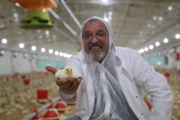 Foto - Televizyon ekranlarını bırakıp çiftlik kurdu