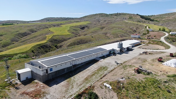 Foto - Televizyon ekranlarını bırakıp çiftlik kurdu