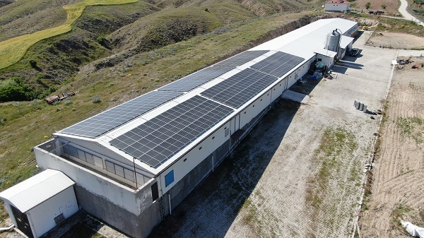 Foto - Televizyon ekranlarını bırakıp çiftlik kurdu