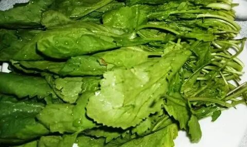 Foto - Tembel bağırsakları arı gibi çalıştıran sebze! En sağlıklı sebze listesinin en başında