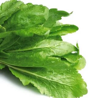 Foto - Tembel bağırsakları arı gibi çalıştıran sebze! En sağlıklı sebze listesinin en başında