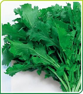 Foto - Tembel bağırsakları arı gibi çalıştıran sebze! En sağlıklı sebze listesinin en başında