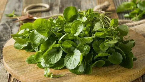 Foto - Tembel bağırsakları arı gibi çalıştıran sebze! En sağlıklı sebze listesinin en başında