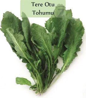 Foto - Tembel bağırsakları arı gibi çalıştıran sebze! En sağlıklı sebze listesinin en başında