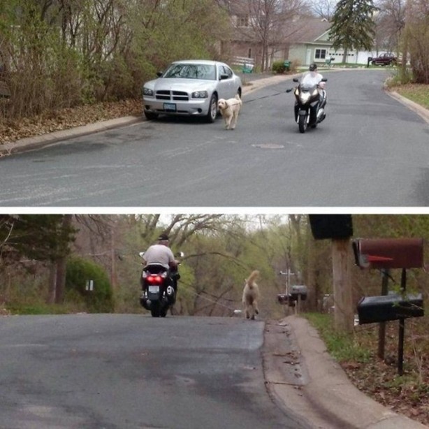 Foto - Tembellikte sınır tanımıyorlar