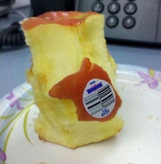 Foto - Tembellikte sınır tanımıyorlar