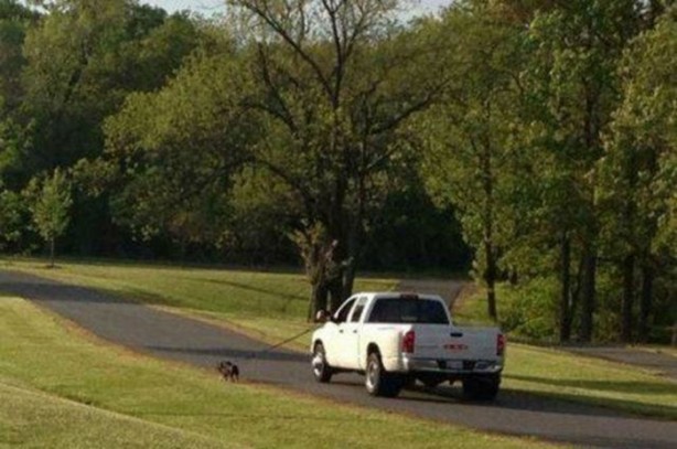 Foto - Tembellikte sınır tanımıyorlar