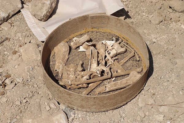 Foto - Temel kazısında bulundu! Bu kemikler tam 2 bin yıllık