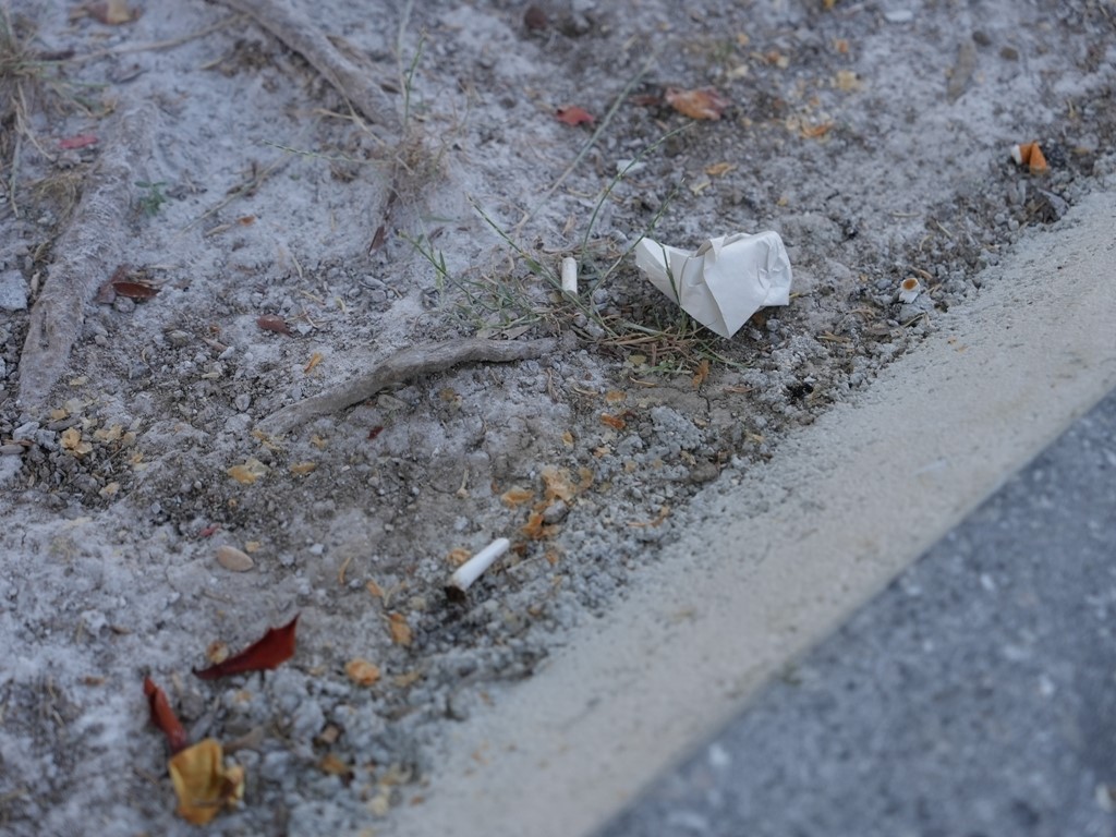 Foto - Temiz bir şehir için sahaya indiler