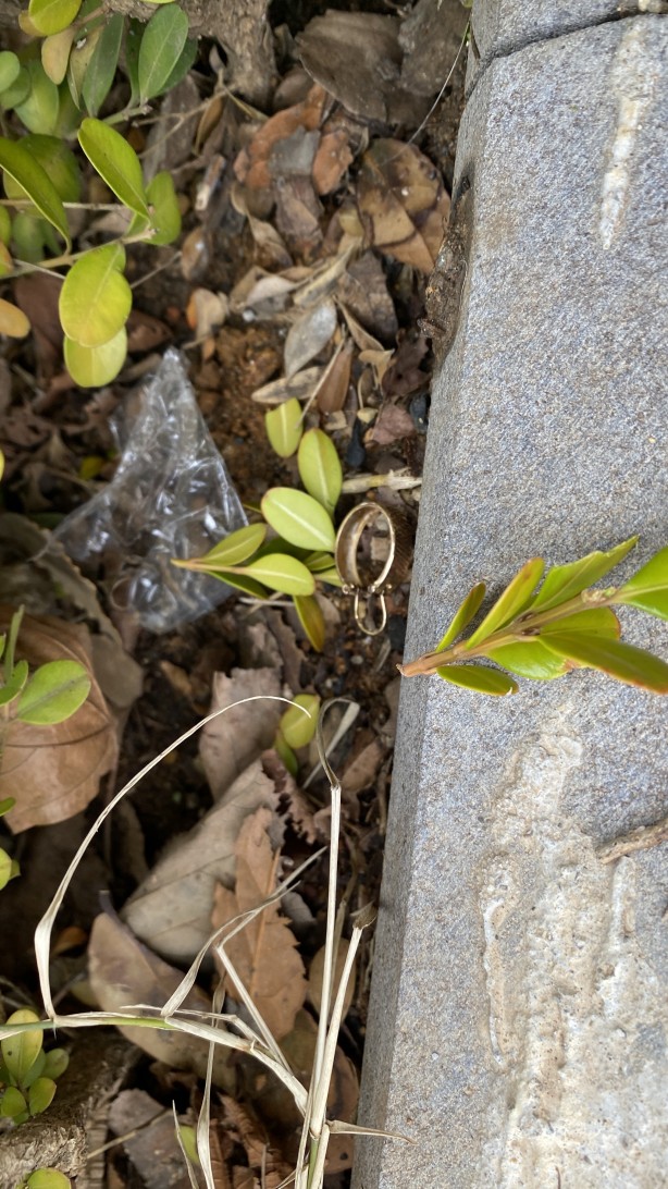 Foto - Temizlik personelinden takdir toplayan davranış! Otların arasında buldu görevliye teslim etti