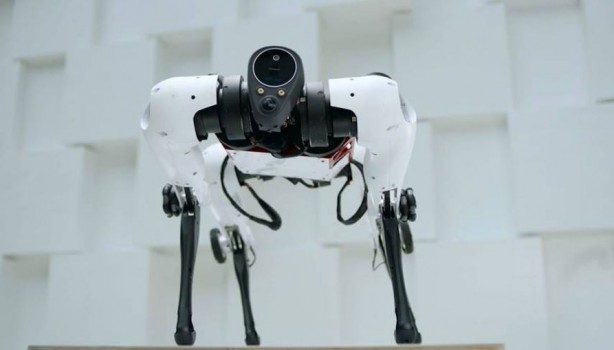 Tencent Robotics X'ten rakiplerini kıskandıracak robot