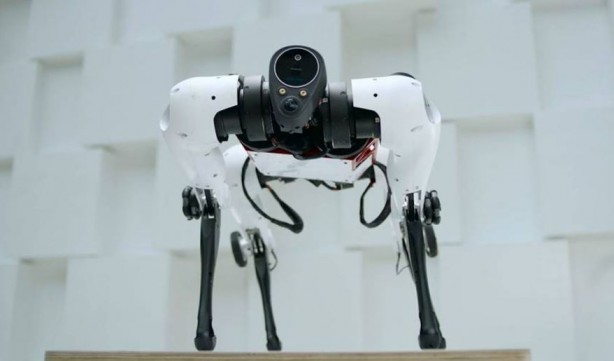 Foto - Tencent Robotics X'ten rakiplerini kıskandıracak robot