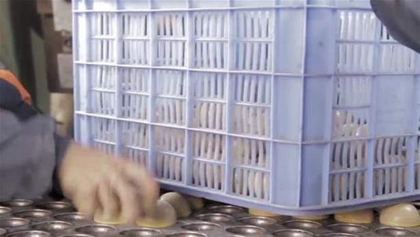 Foto - Tenis topu nasıl yapılır?