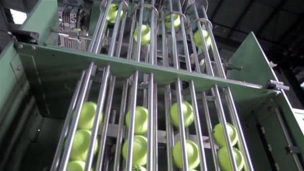 Foto - Tenis topu nasıl yapılır?