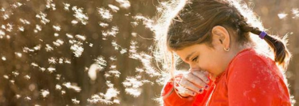 Foto - TEOG'a girecek alerjik çocuklar dikkat!