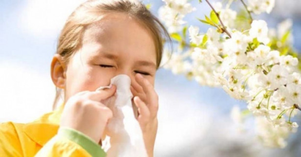 Foto - TEOG'a girecek alerjik çocuklar dikkat!