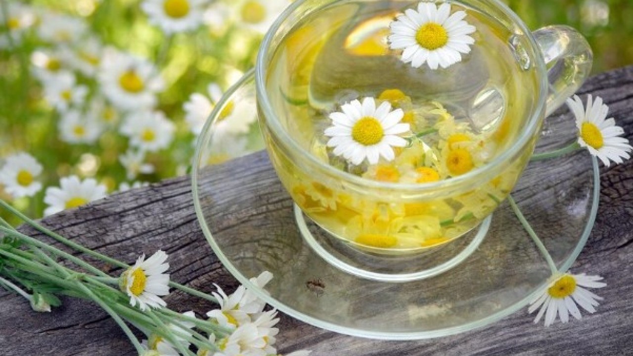 Terapi masraflarından kurtarıyor! Stresi azaltan 5 içecek açıklandı