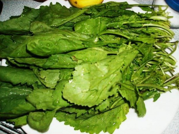 Foto - Tere saç dökülmesini önlüyor!