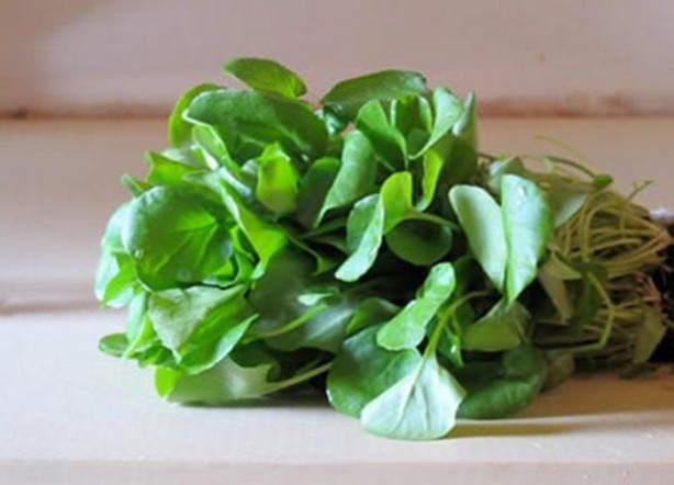 Foto - Tere saç dökülmesini önlüyor!