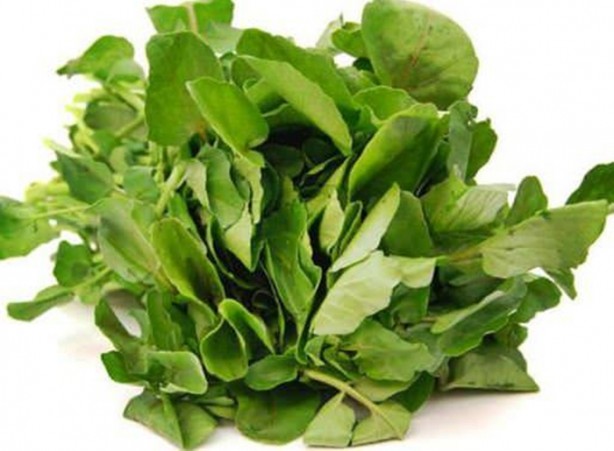 Foto - Tere saç dökülmesini önlüyor!