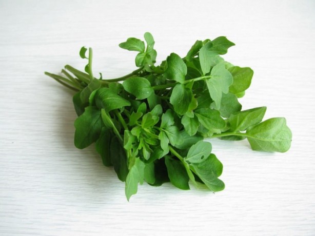 Foto - Tere saç dökülmesini önlüyor!