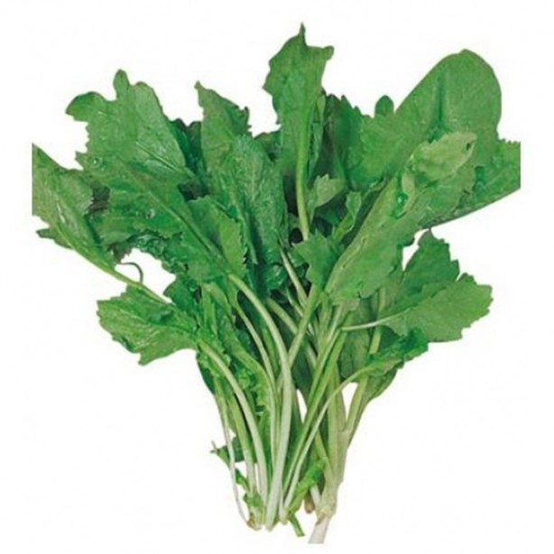 Foto - Tere saç dökülmesini önlüyor!