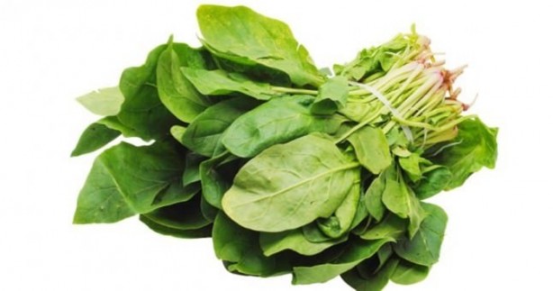 Tere saç dökülmesini önlüyor!