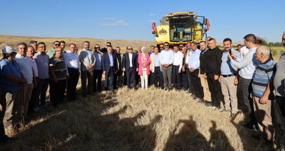 Foto - Terk edilmiş evde bulunan tohumlar tarlaya ekildi! Alınan sonuç tüm yetkilileri harekete geçirdi