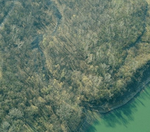 Foto - Terk edilmiş gizemli mekanlar