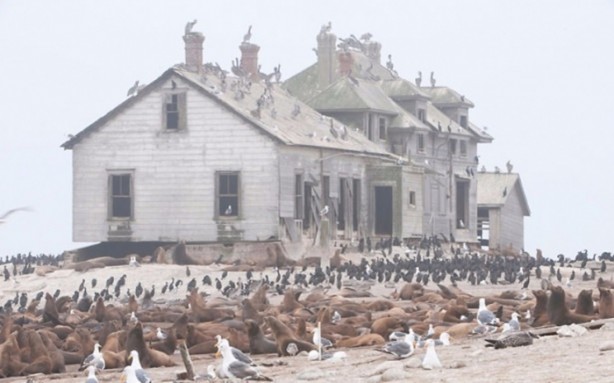 Foto - Terk edilmiş gizemli mekanlar