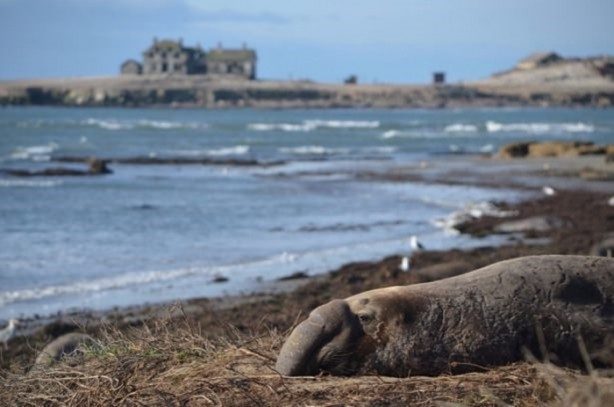 Foto - Terk edilmiş gizemli mekanlar