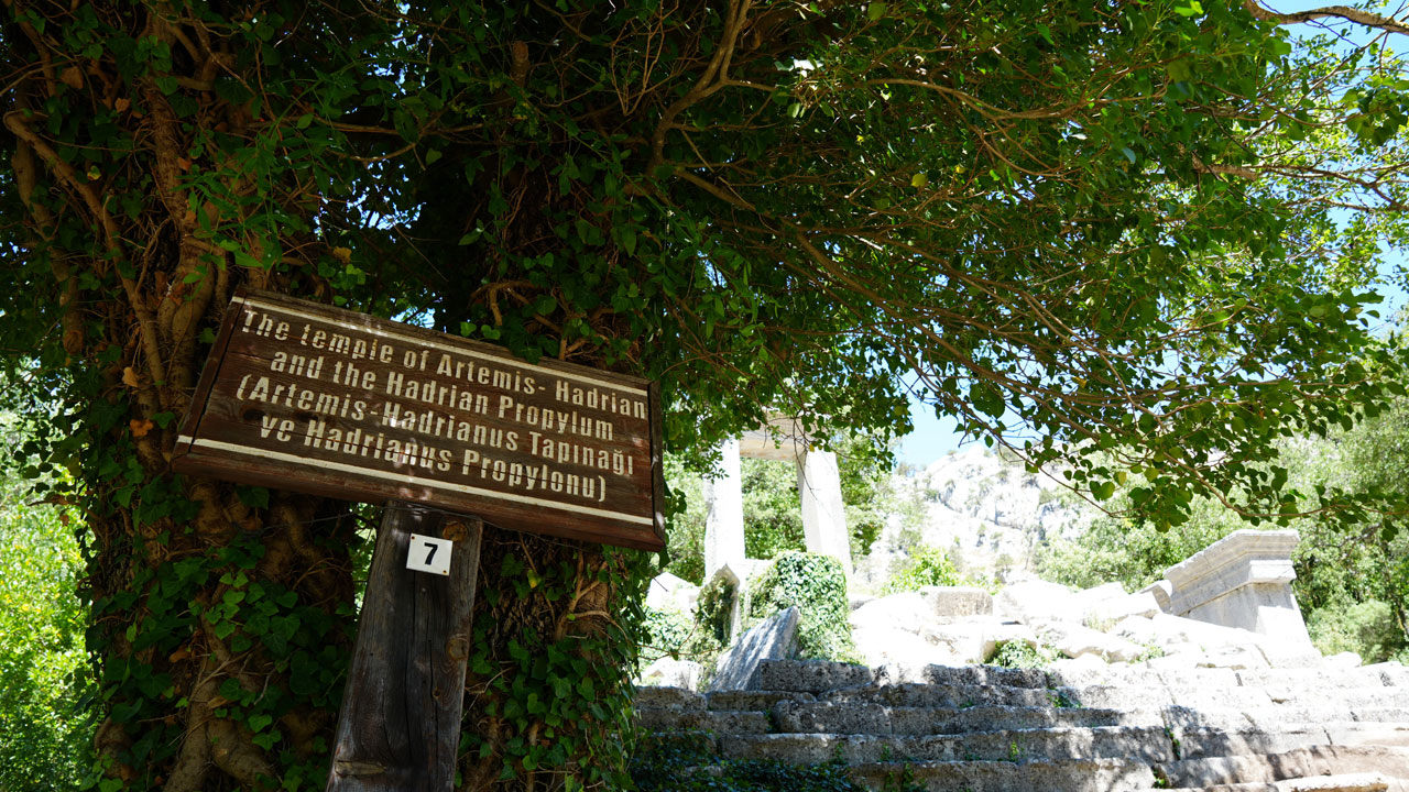 Foto - Termessos’ta ilk kazı başladı! Yüzyıllardır gizemini koruyor