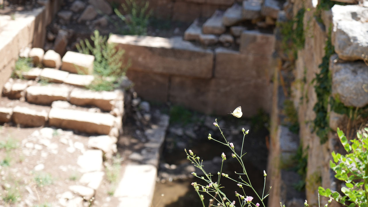 Foto - Termessos’ta ilk kazı başladı! Yüzyıllardır gizemini koruyor