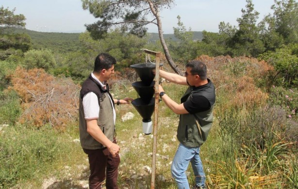 Foto - Terminatör böcekler görevde